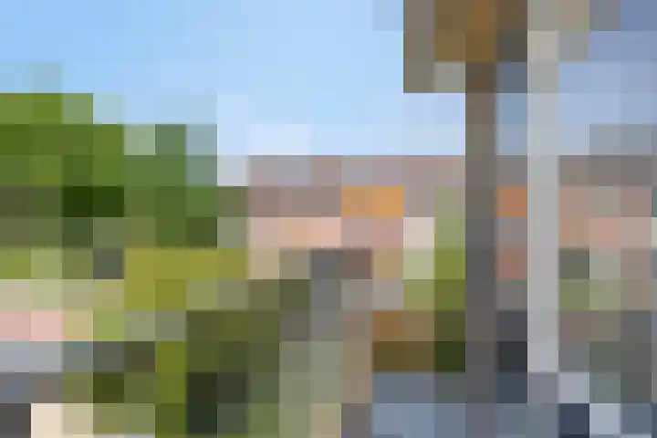 Ferdinand Bolstraat 11 Krimpen aan den IJssel thumbnail 13