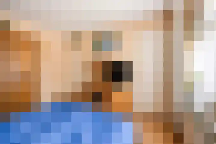 Ferdinand Bolstraat 11 Krimpen aan den IJssel thumbnail 15