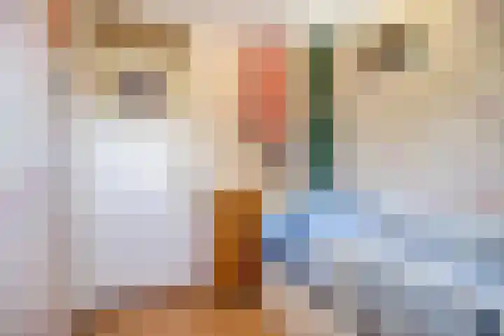 Ferdinand Bolstraat 11 Krimpen aan den IJssel thumbnail 17