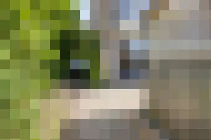 Ferdinand Bolstraat 11 Krimpen aan den IJssel thumbnail 25
