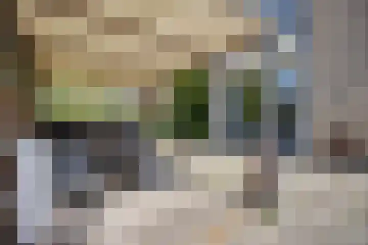Ferdinand Bolstraat 11 Krimpen aan den IJssel thumbnail 26