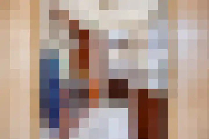 Ferdinand Bolstraat 11 Krimpen aan den IJssel thumbnail 6