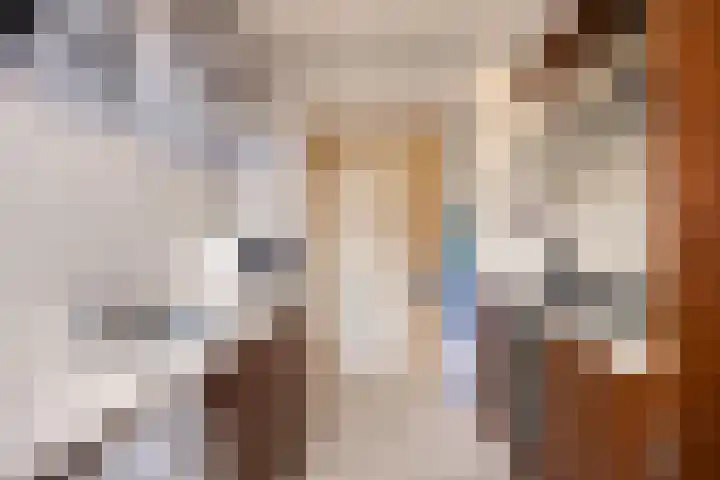 Ferdinand Bolstraat 11 Krimpen aan den IJssel thumbnail 7