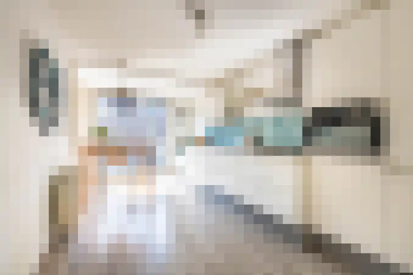 Ferdinand Bolstraat 123 E Amsterdam thumbnail 11