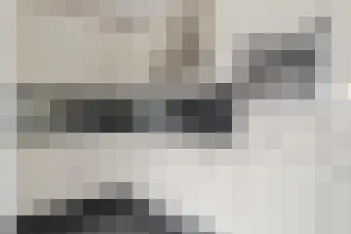 Ferdinand Bolstraat 13 Woerden thumbnail 23