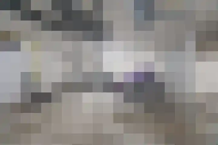 Ferdinand Bolstraat 13 Woerden thumbnail 38