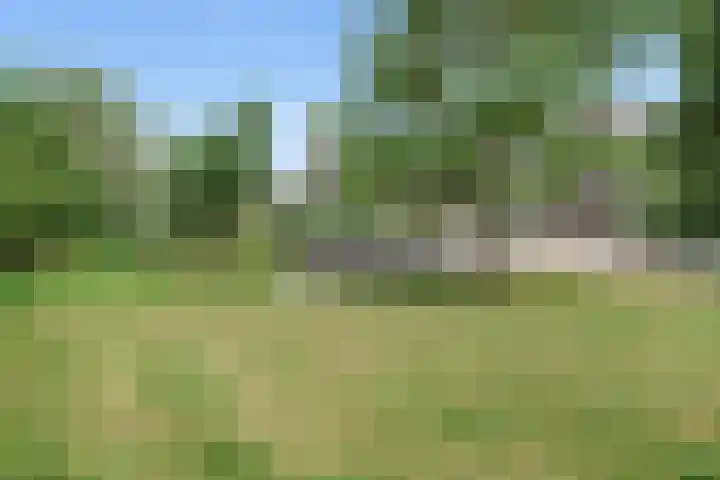 Ferdinand Bolstraat 13 Woerden thumbnail 42