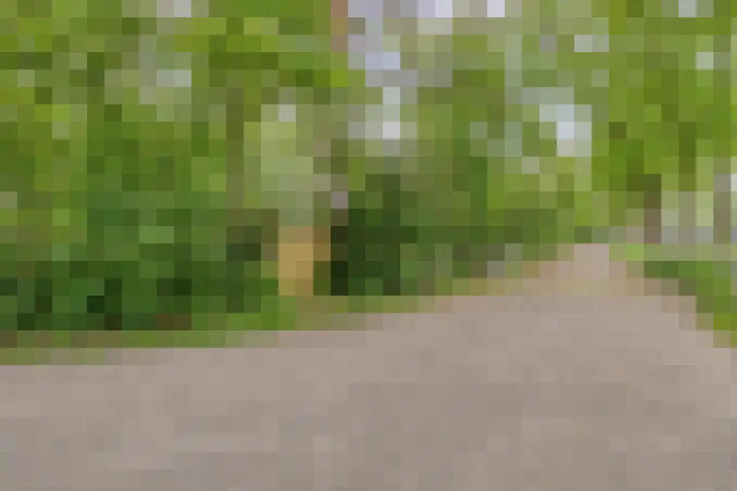 Ferdinand Bolstraat 14 Brunssum thumbnail 37