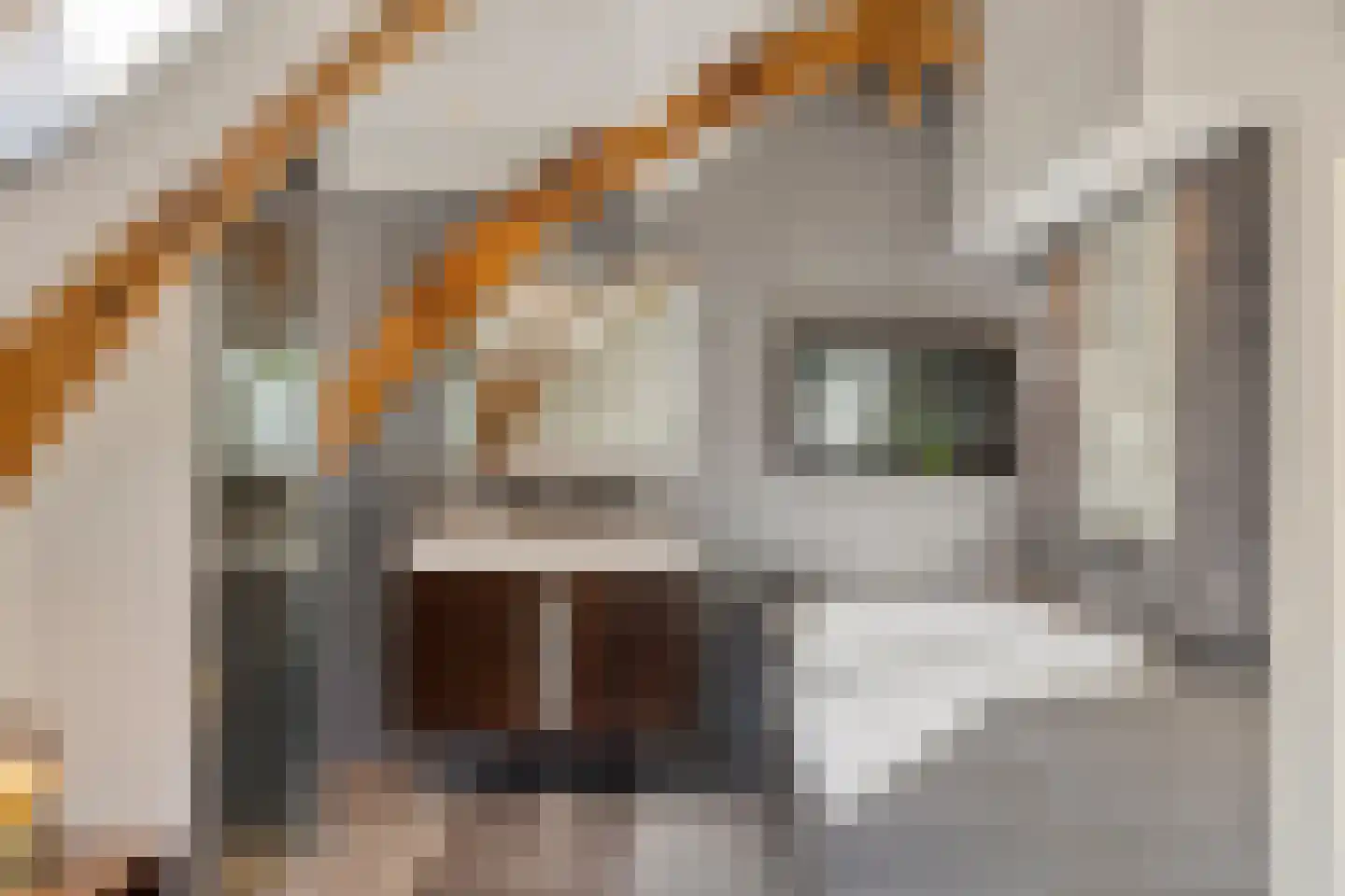 Ferdinand Bolstraat 15 3 Amsterdam thumbnail 15