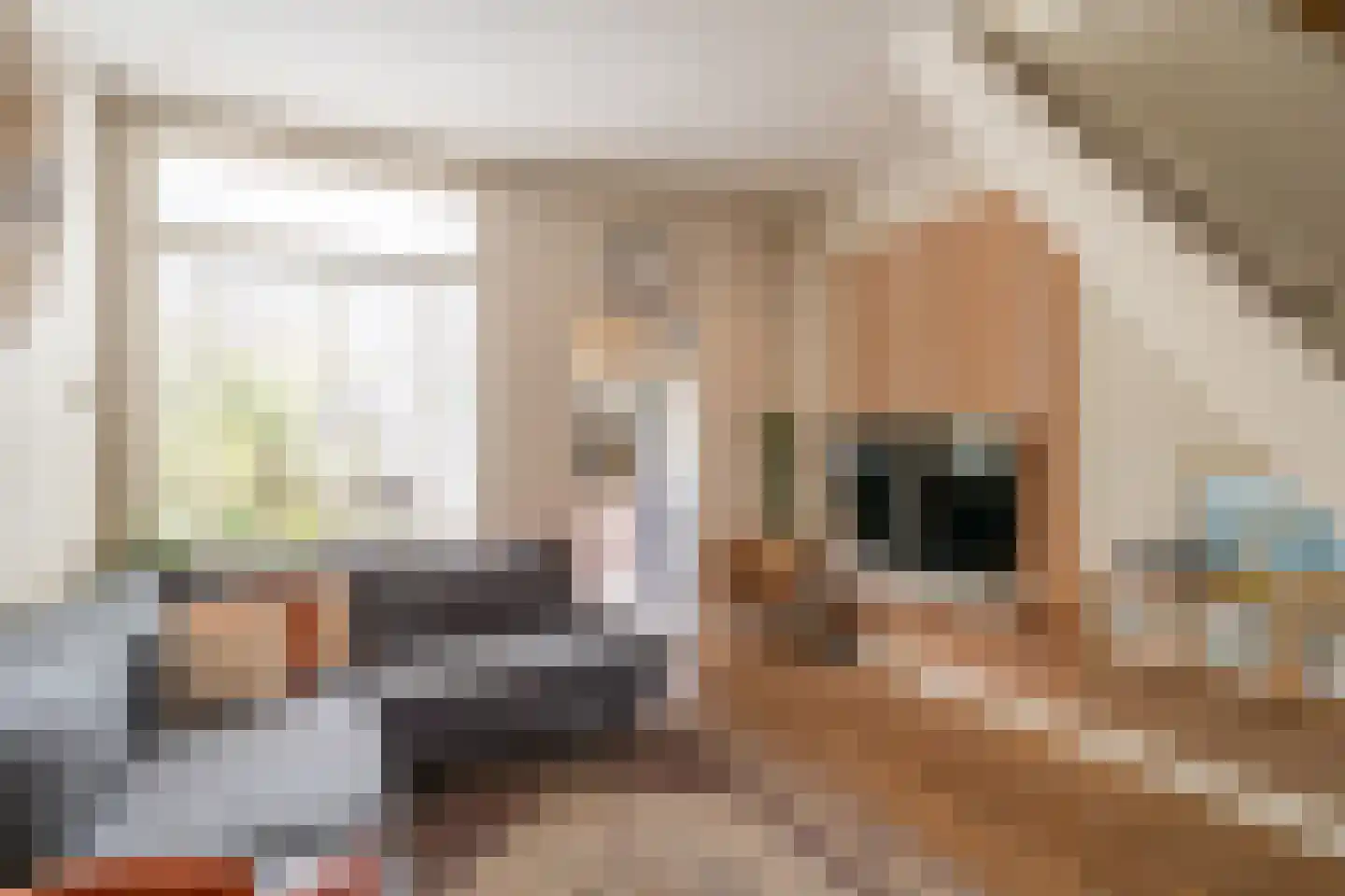 Ferdinand Bolstraat 15 Utrecht thumbnail 13
