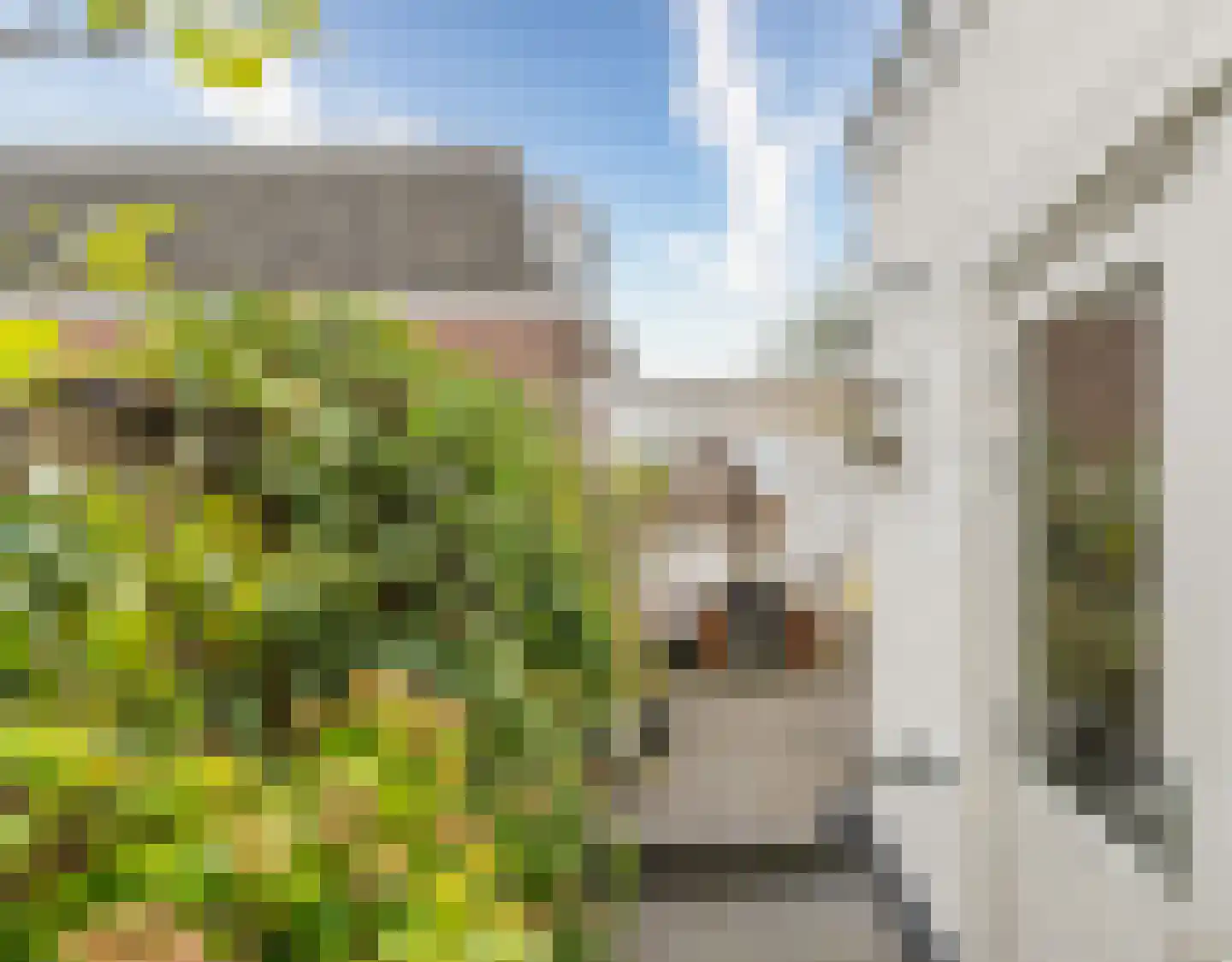 Ferdinand Bolstraat 15 Utrecht thumbnail 16