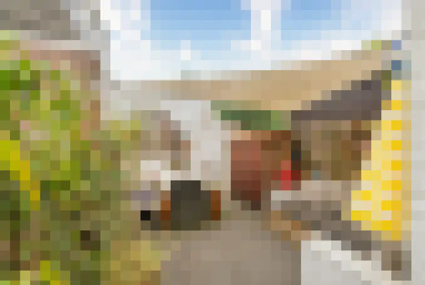 Ferdinand Bolstraat 15 Utrecht thumbnail 17
