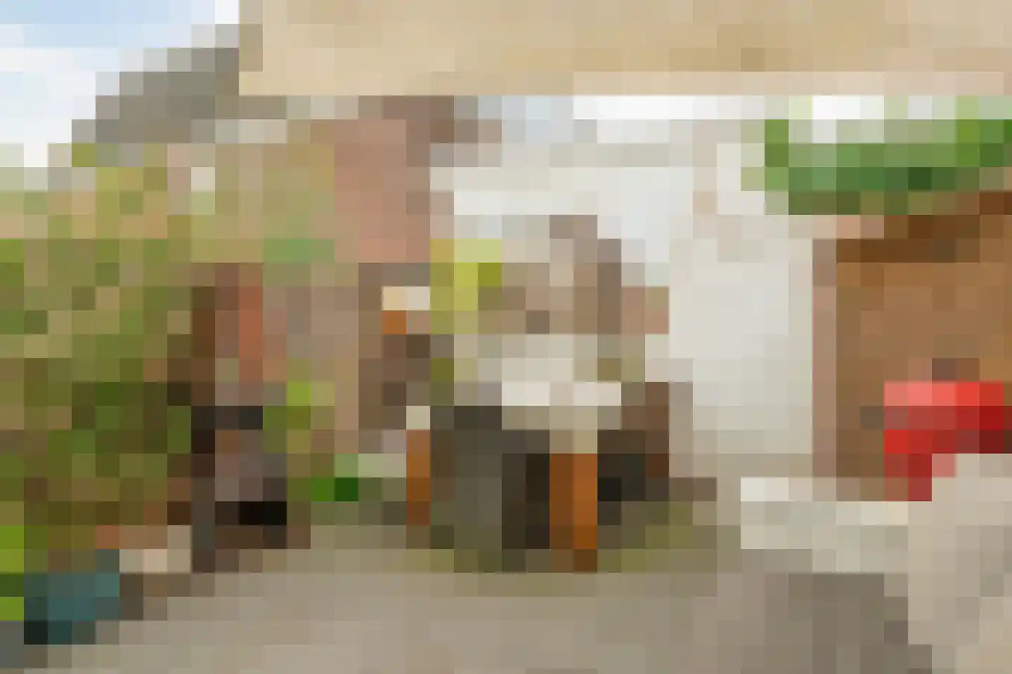 Ferdinand Bolstraat 15 Utrecht thumbnail 18