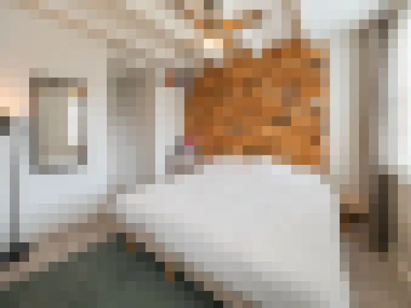 Ferdinand Bolstraat 15 Utrecht thumbnail 22