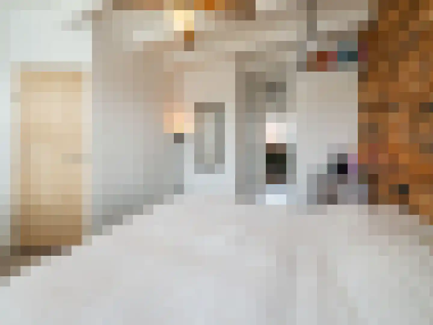Ferdinand Bolstraat 15 Utrecht thumbnail 24
