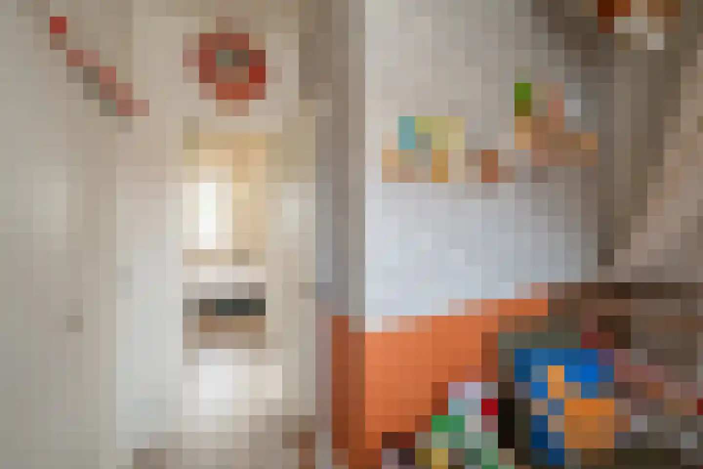 Ferdinand Bolstraat 15 Utrecht thumbnail 27