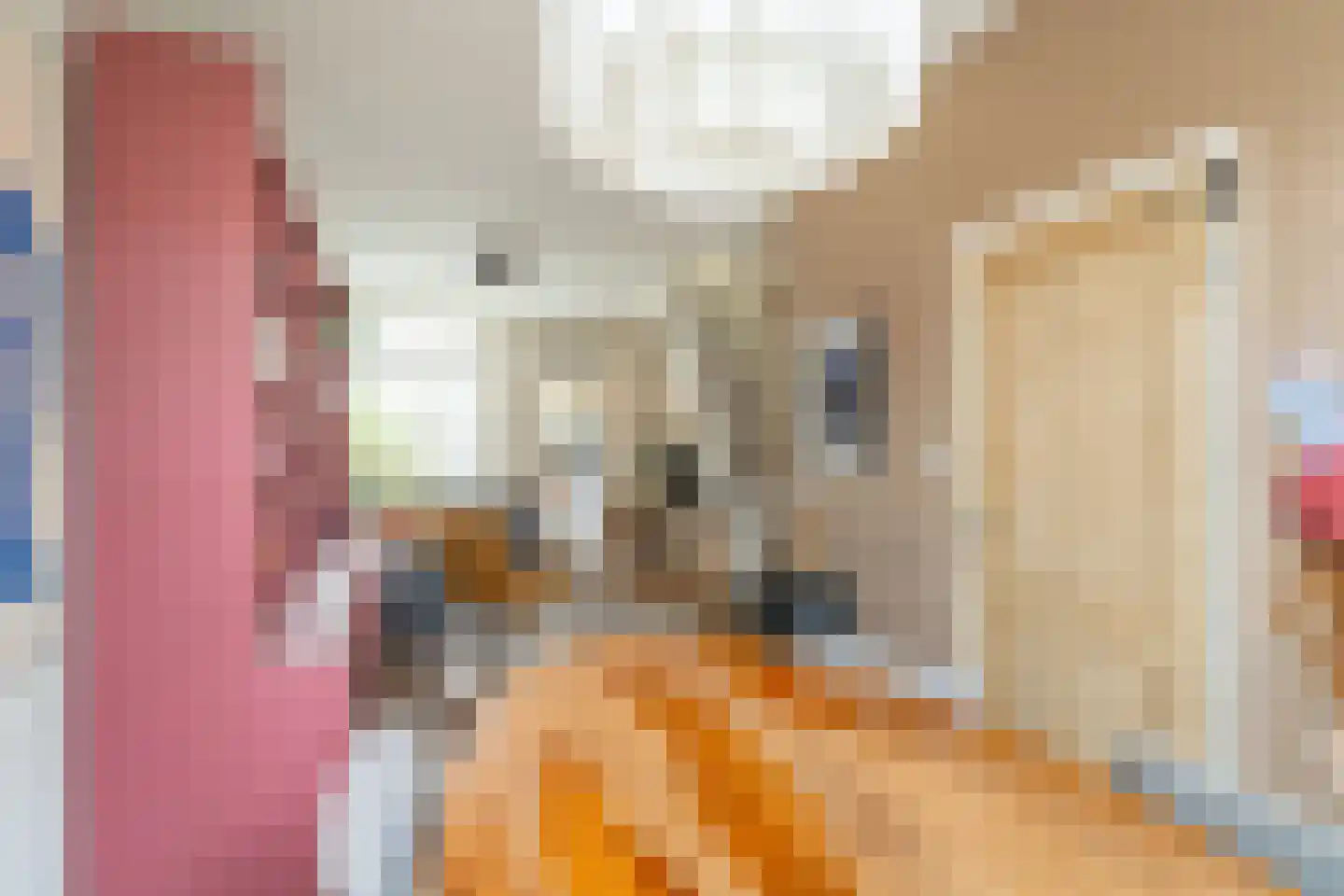 Ferdinand Bolstraat 15 Utrecht thumbnail 8