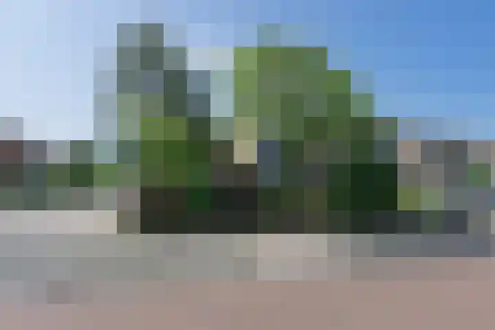 Ferdinand Bolstraat 16 Bergen op Zoom thumbnail 24