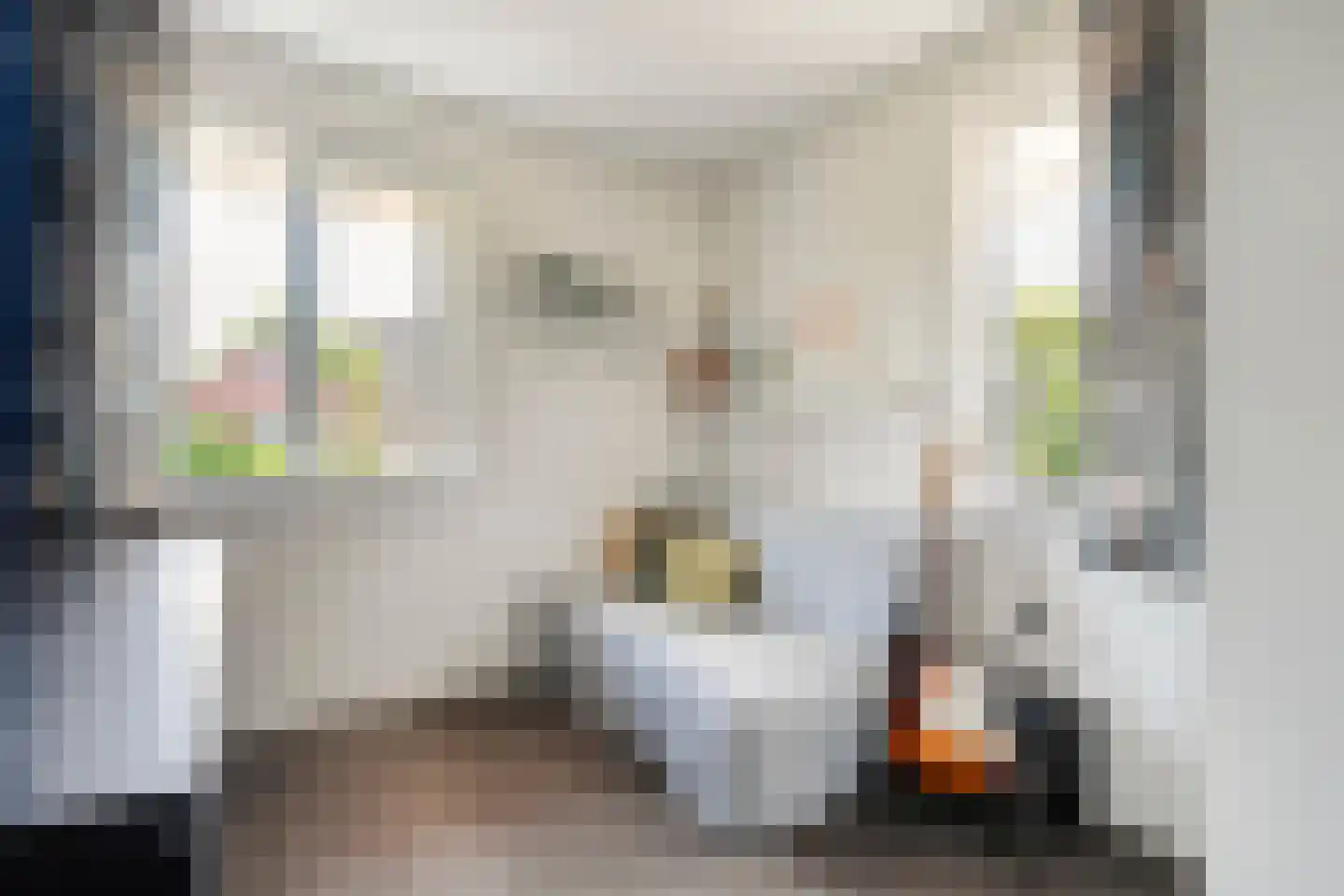 Ferdinand Bolstraat 16 Ommen thumbnail 37