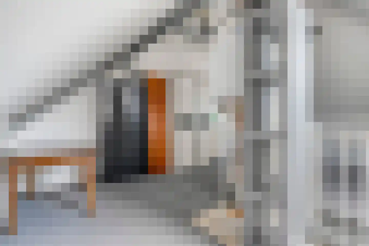 Ferdinand Bolstraat 16 Ommen thumbnail 49