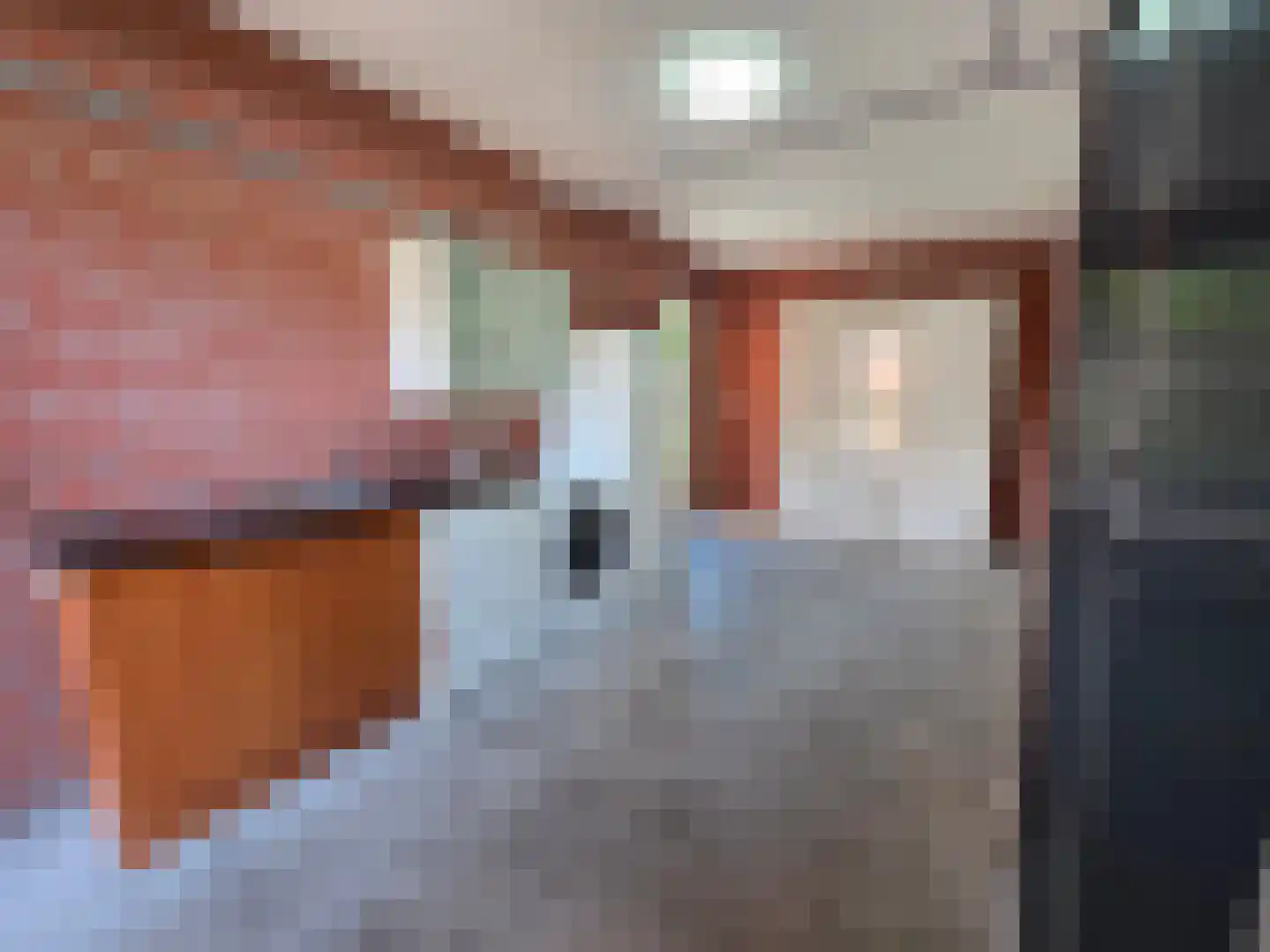 Ferdinand Bolstraat 16 Ommen thumbnail 59