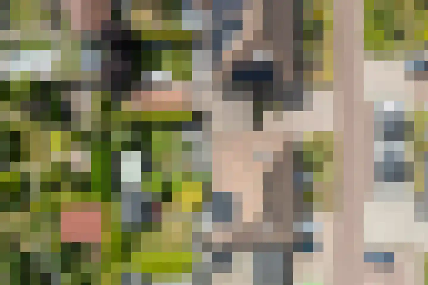 Ferdinand Bolstraat 16 Ommen thumbnail 8