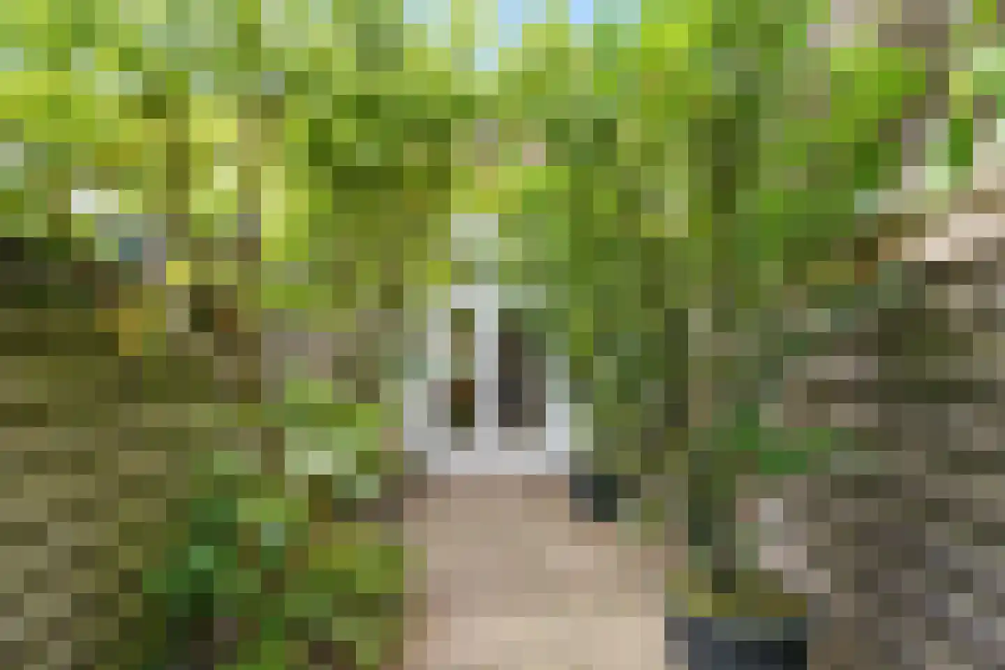 Ferdinand Bolstraat 2 A Utrecht thumbnail 8