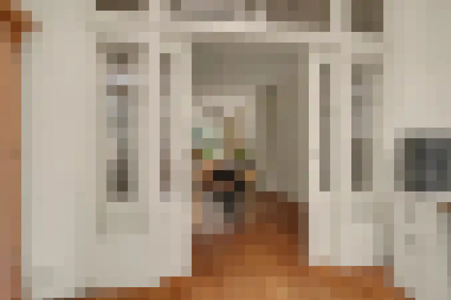 Ferdinand Bolstraat 2 Alkmaar thumbnail 13