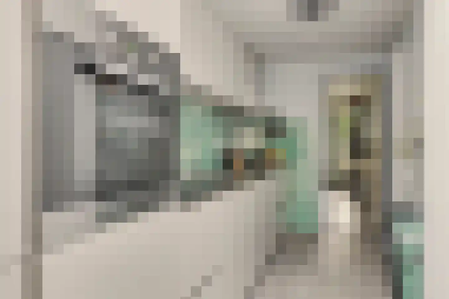 Ferdinand Bolstraat 2 Alkmaar thumbnail 19