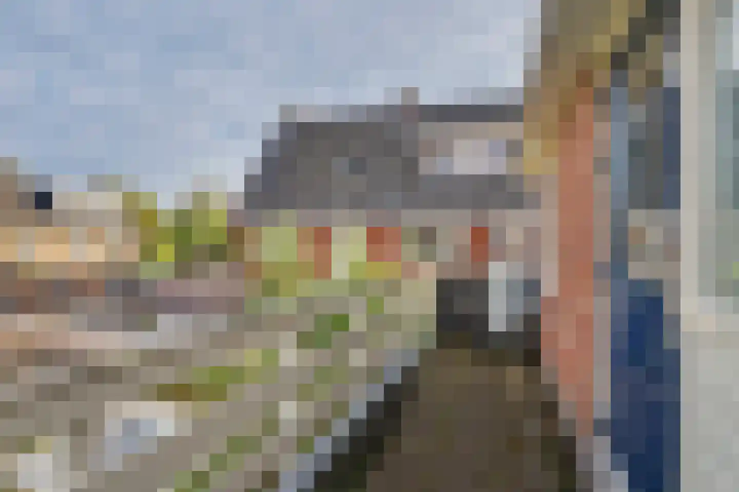 Ferdinand Bolstraat 2 Alkmaar thumbnail 31