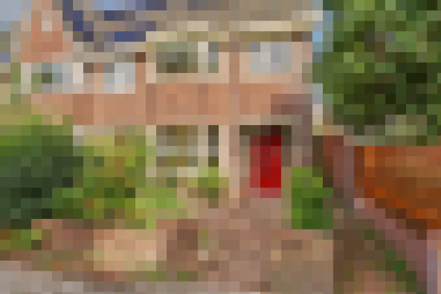 Ferdinand Bolstraat 2 Alkmaar thumbnail 38