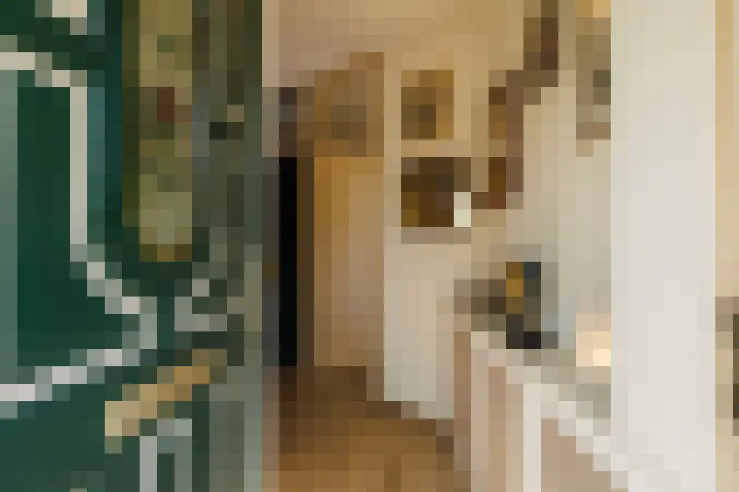 Ferdinand Bolstraat 2 Ede thumbnail 6