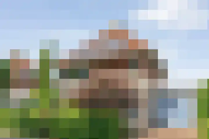 Ferdinand Bolstraat 2 Ommen thumbnail 4