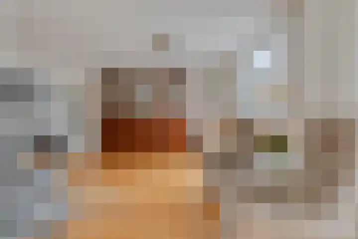 Ferdinand Bolstraat 2 Ridderkerk thumbnail 10