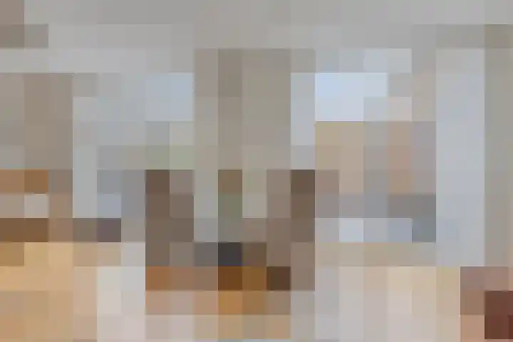 Ferdinand Bolstraat 2 Ridderkerk thumbnail 11