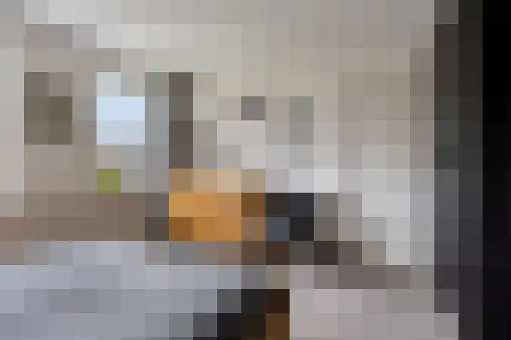 Ferdinand Bolstraat 2 Ridderkerk thumbnail 29