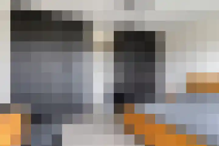 Ferdinand Bolstraat 2 Ridderkerk thumbnail 30