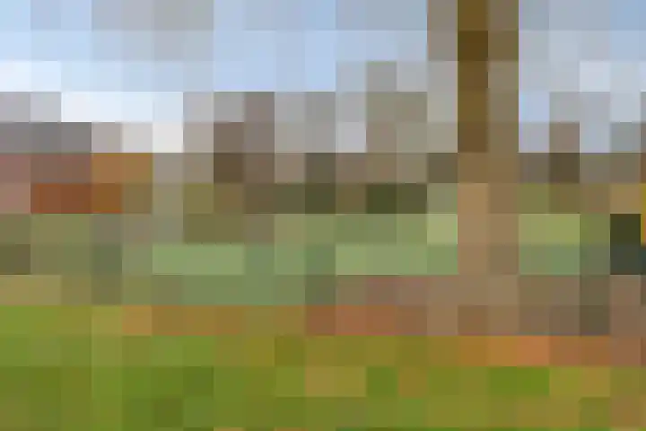 Ferdinand Bolstraat 2 Ridderkerk thumbnail 50