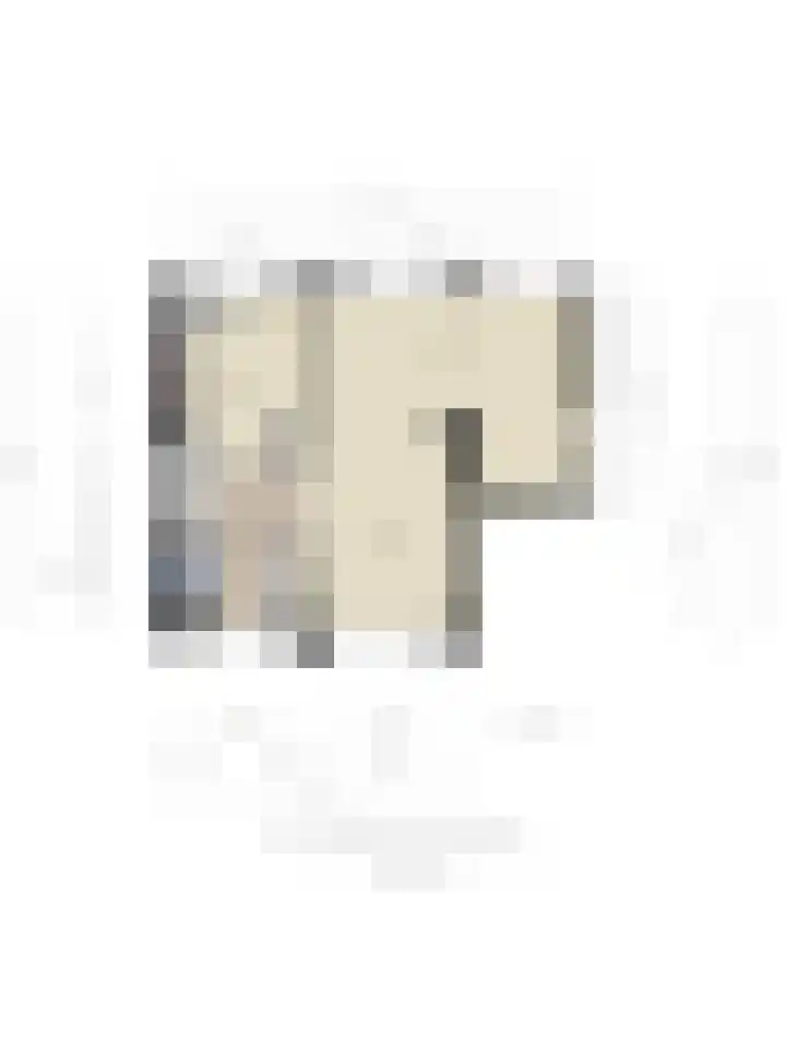 Ferdinand Bolstraat 2 Ridderkerk thumbnail 52