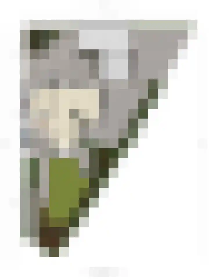 Ferdinand Bolstraat 2 Ridderkerk thumbnail 57