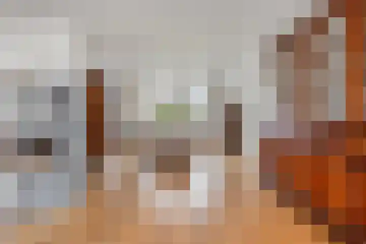 Ferdinand Bolstraat 2 Ridderkerk thumbnail 7