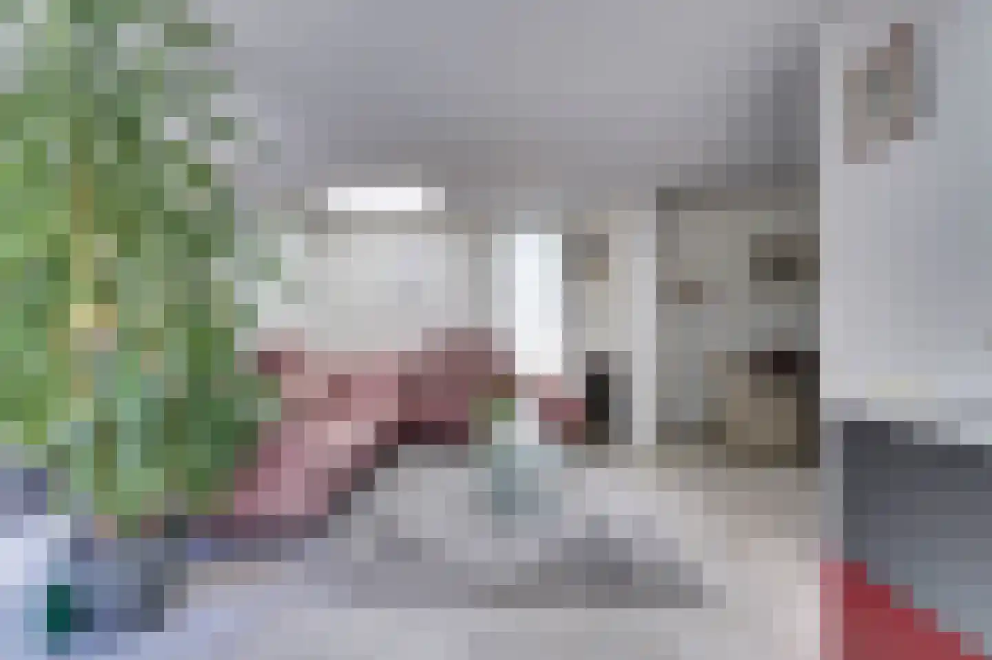 Ferdinand Bolstraat 20 Hendrik-Ido-Ambacht thumbnail 15