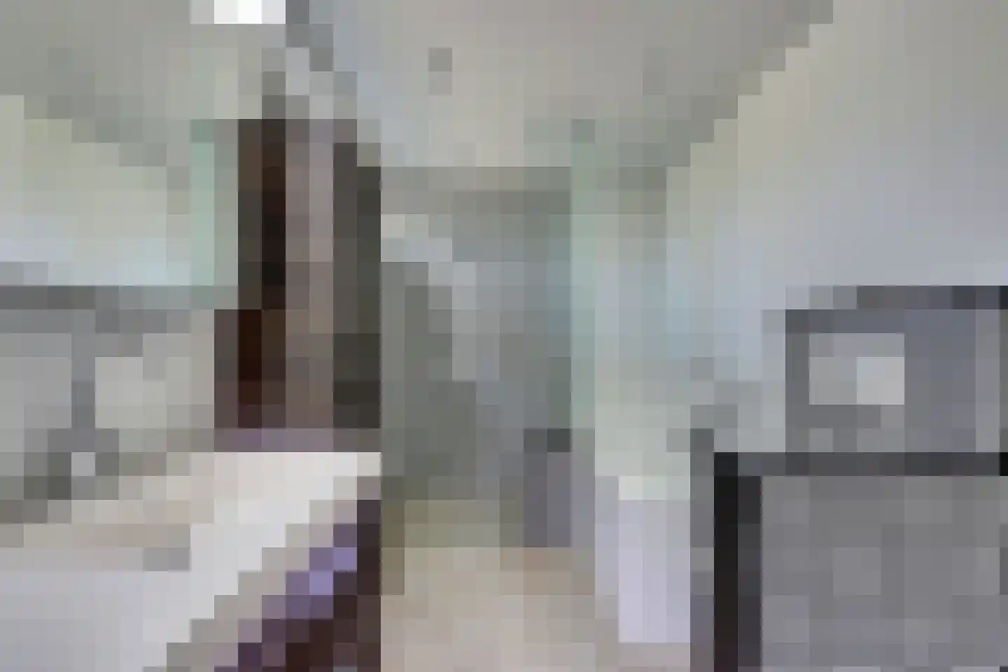Ferdinand Bolstraat 20 Hendrik-Ido-Ambacht thumbnail 4