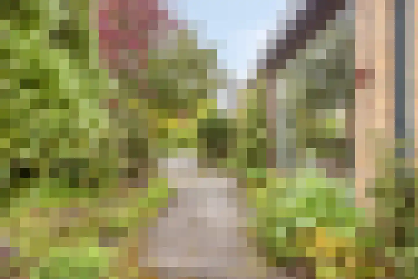 Ferdinand Bolstraat 22 Bergen op Zoom thumbnail 5