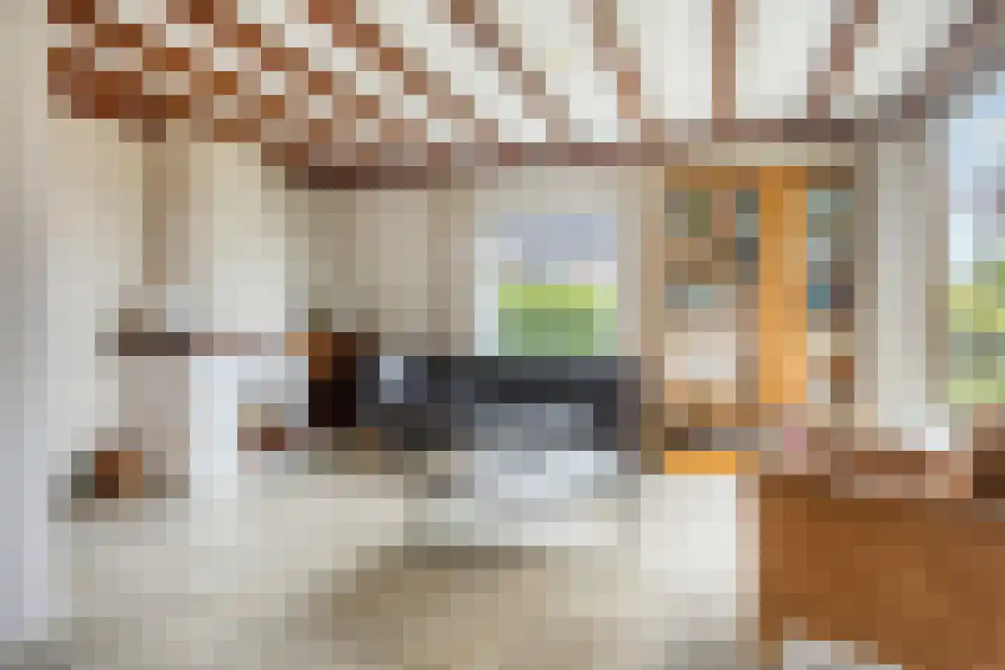 Ferdinand Bolstraat 22 Bergen op Zoom thumbnail 8