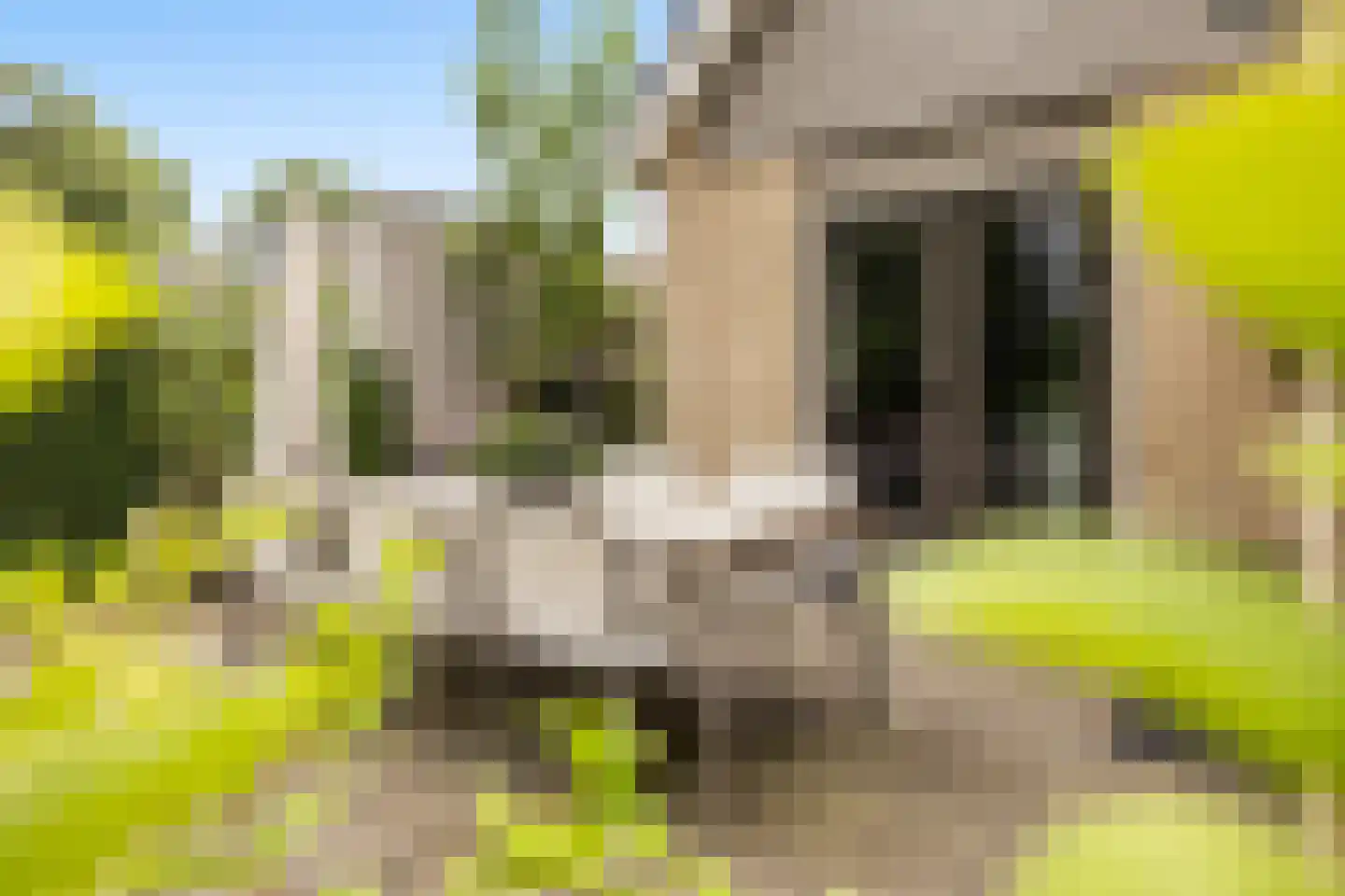 Ferdinand Bolstraat 22 Hendrik-Ido-Ambacht thumbnail 38