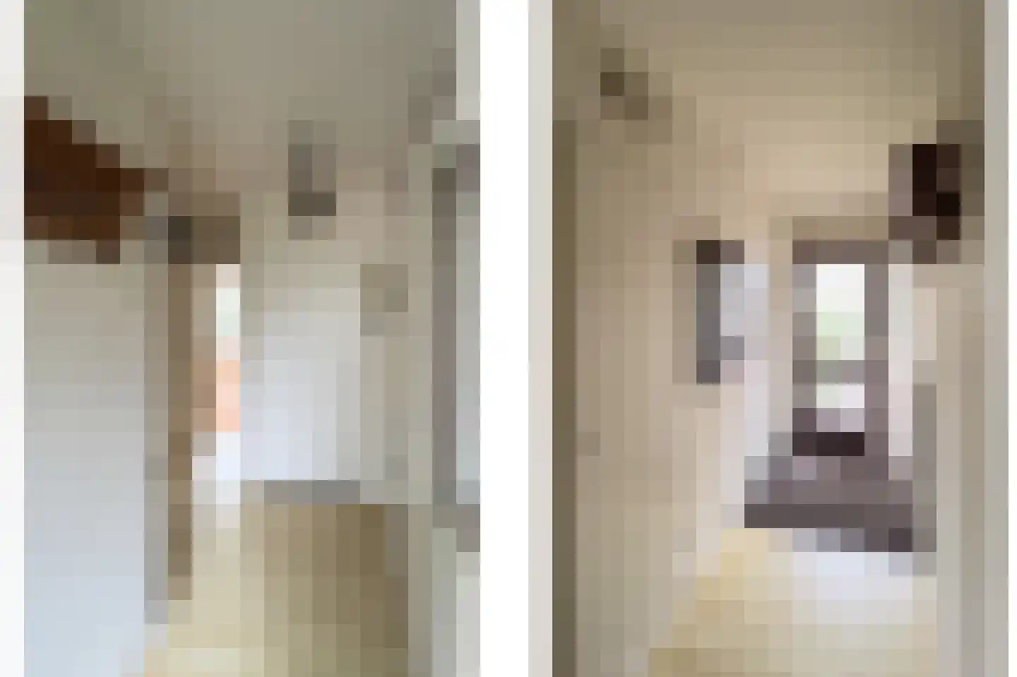 Ferdinand Bolstraat 22 Voorthuizen thumbnail 13
