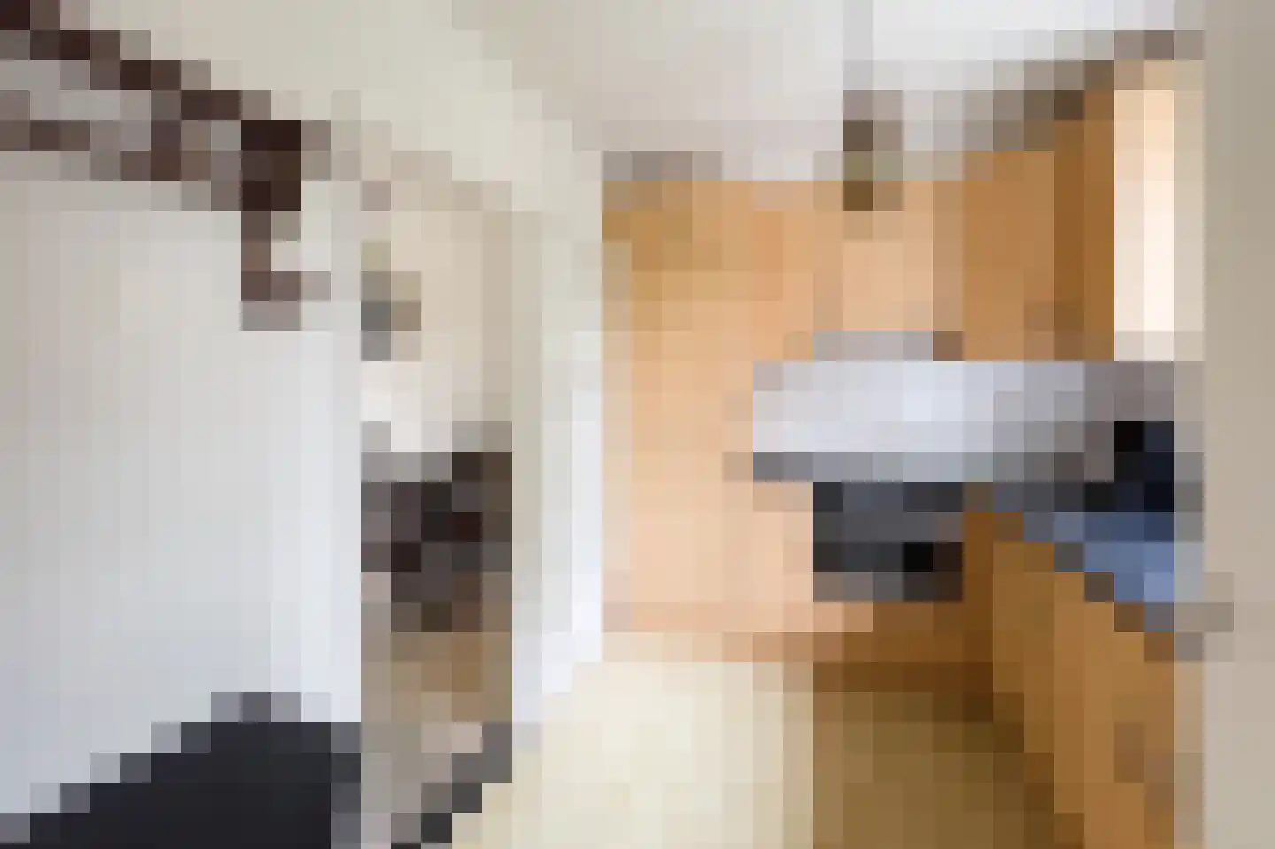 Ferdinand Bolstraat 22 Voorthuizen thumbnail 18
