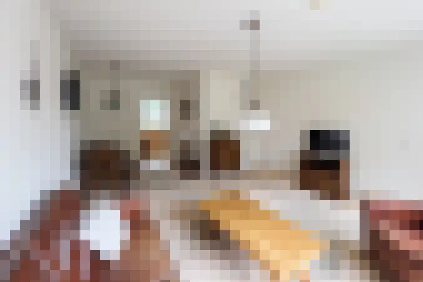 Ferdinand Bolstraat 22 Voorthuizen thumbnail 22