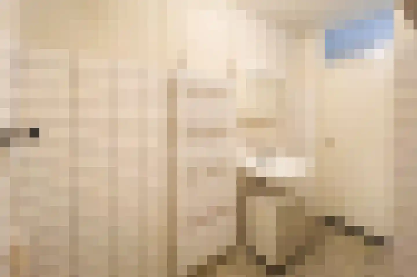 Ferdinand Bolstraat 22 Voorthuizen thumbnail 33